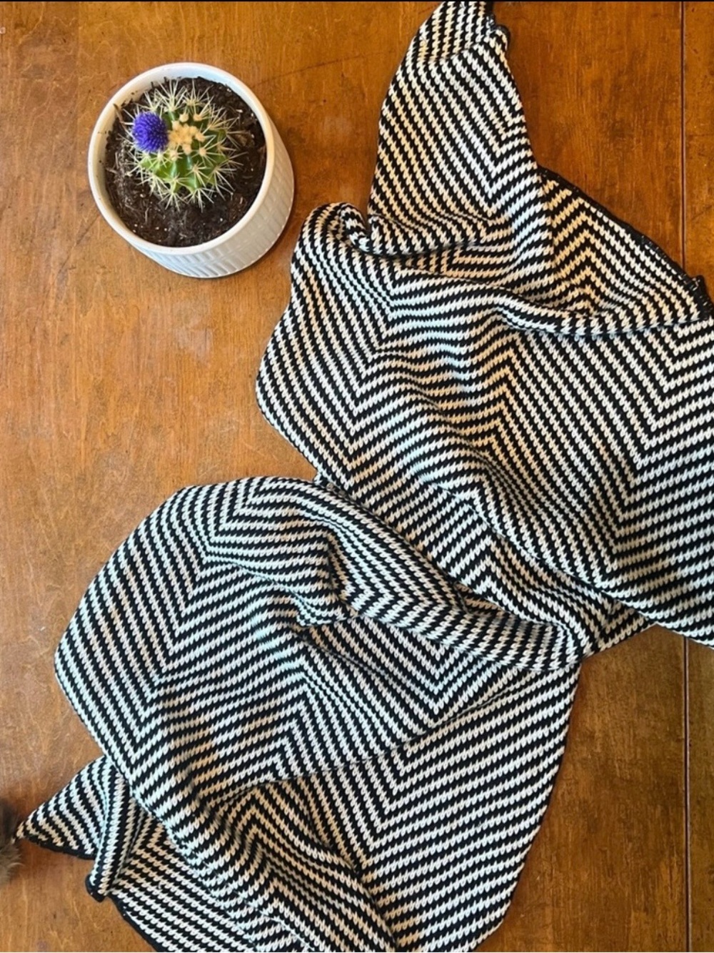 Mud Pie Black White Chevron Infinity Scarf OS